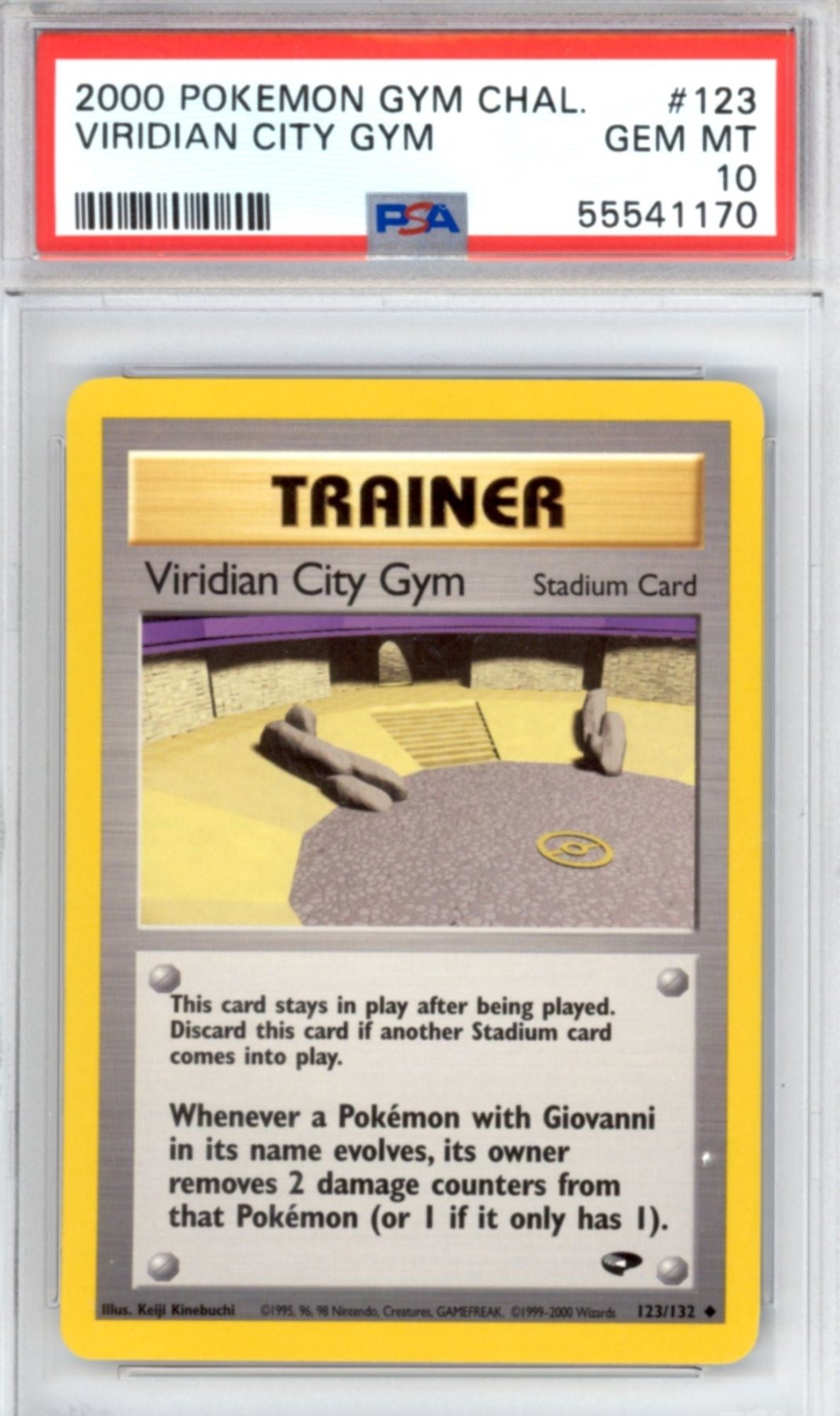 Viridian City Gym #123 - Pokemon Gym Challenge - Retro Island Gaming