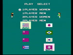 Volleyball [5 Screw] - NES - Retro Island Gaming