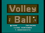 Volleyball [5 Screw] - NES - Retro Island Gaming