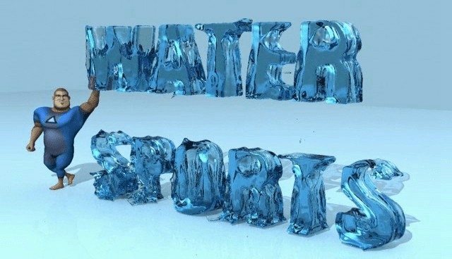 Water Sports - Wii - Retro Island Gaming