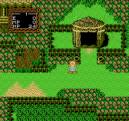 Willow - NES - Retro Island Gaming