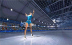 Winter Sports 2 The Next Challenge - Playstation 2 - Retro Island Gaming