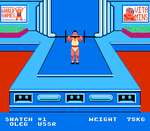 World Games - NES - Retro Island Gaming