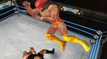 WWE All Stars - Wii - Retro Island Gaming