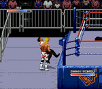 WWF Royal Rumble - Sega Genesis - Retro Island Gaming