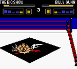 WWF Wrestlemania 2000 - GameBoy Color - Retro Island Gaming